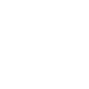UNDP