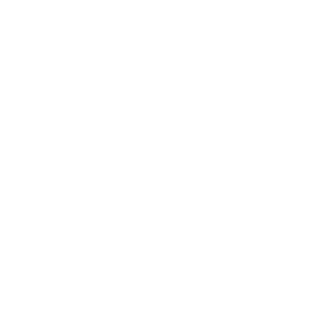 Hispa