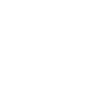 UNDP